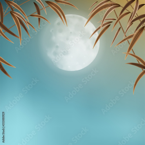 Night sky background