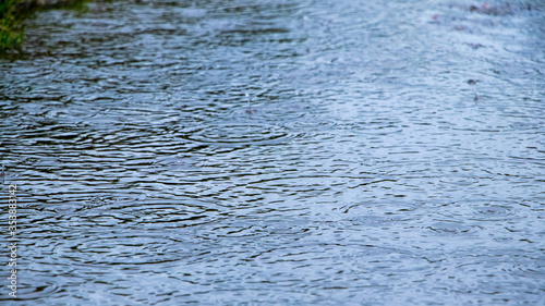 Circles on the water during the rain