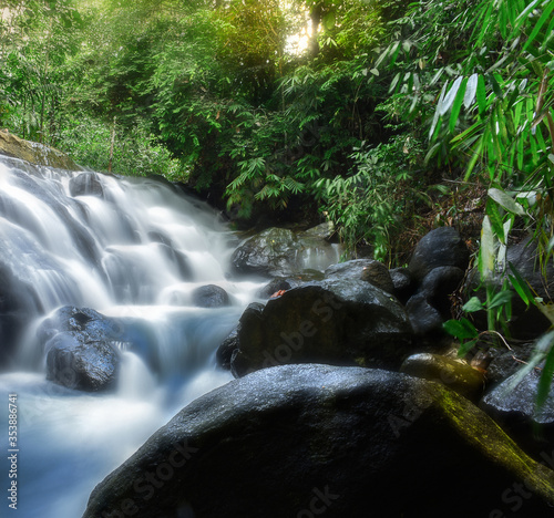 small waterfall in the forest