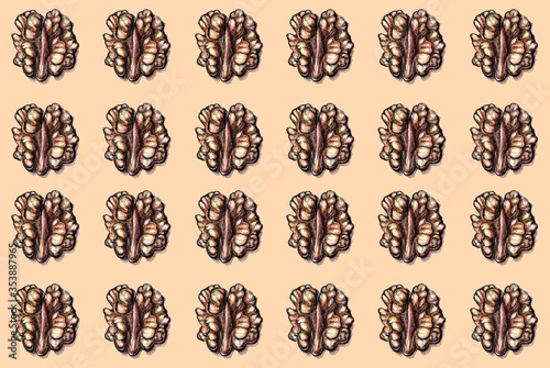 Walnut seamless pattern made of watercolor and ink illustration on orange background, wrapping paper or fabric pattern