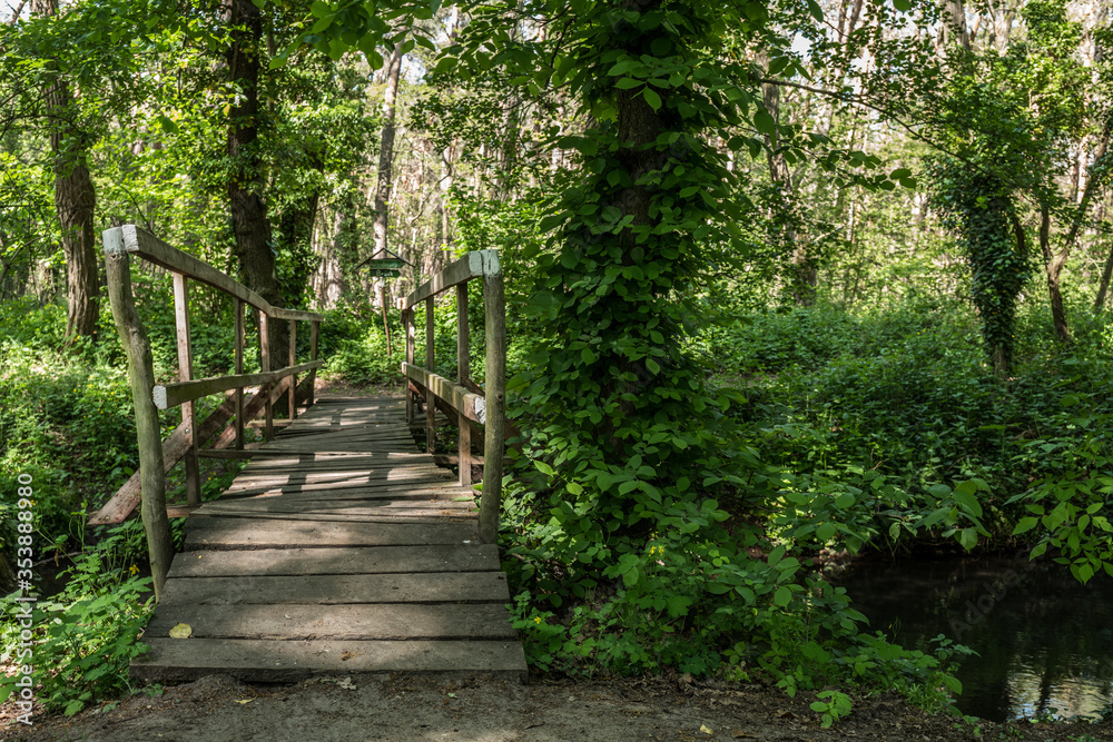 a wooden bridge is crossing a river in a forest a wooden bridge is crossing a river in a forest
