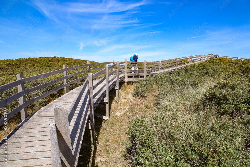 Réserve naturelle du Platier d'Oye, entre Calais et Dunkerque, Hauts-de-France