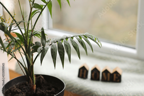 Home Interior Decoration -house plant With Wooden Home Letters On windowsill. Background. selective focus