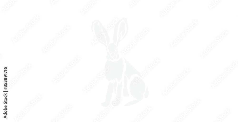 Silhouette of the White Rabbit