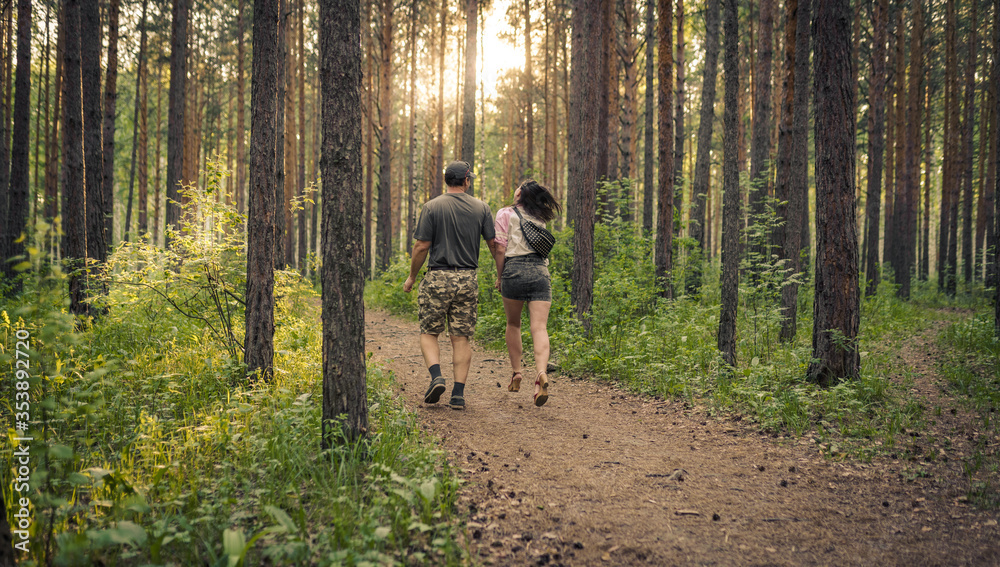 Fototapeta premium walk in the woods