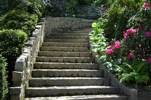 Kamienne schody w ogrodzie w  r  d bujnej zieleni i kwitn  cych rododendron  w