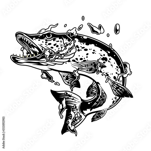 Pike fish in water splashes concept