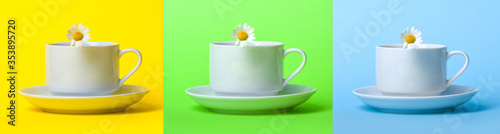 Fototapeta Naklejka Na Ścianę i Meble -  Cup of tea with camomile on a colored background. Collage.