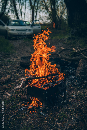 camp fire in the forest