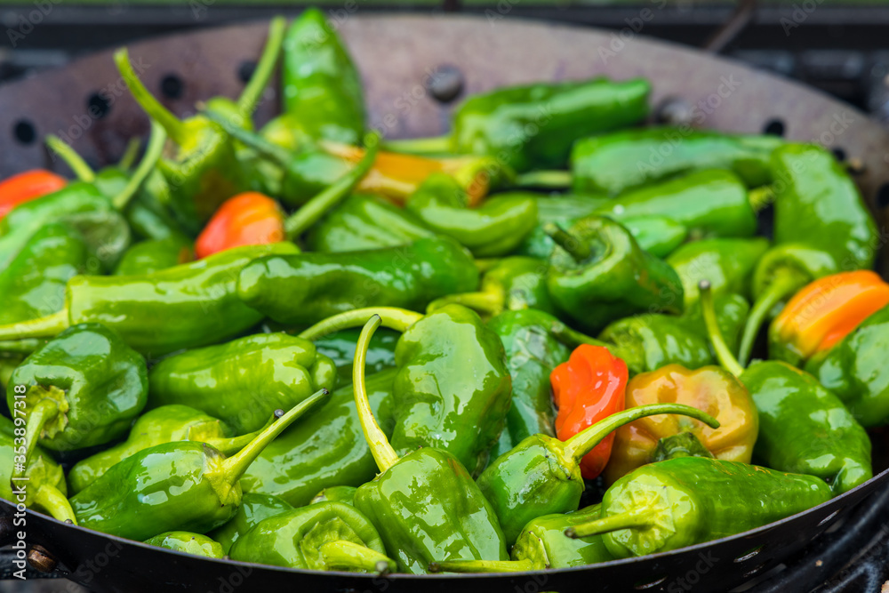 pimientos de padron the tasty spain green pepper on the grill pimientos de padron the tasty spain green pepper on the grill