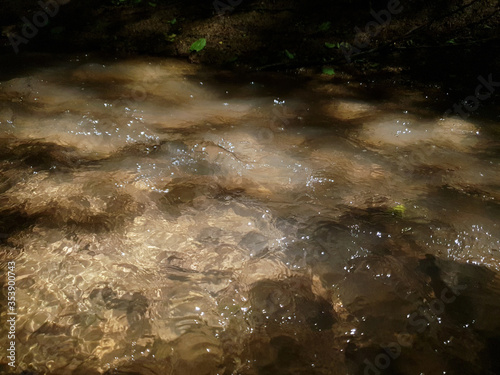 fast stream in the forest