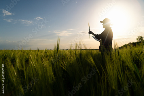 Print op canvas Farmer with digital tablet on a rye field