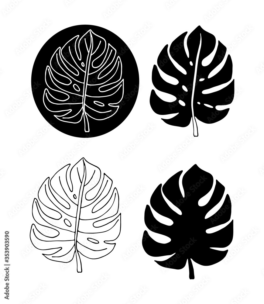Black and white monstera leaves set. Hand drawing vector illustration for logo design. Minimalism line art. Botanical modern decor. Black and white monstera leaves set. Hand drawing vector illustration for logo design. Minimalism line art. Botanical modern decor.