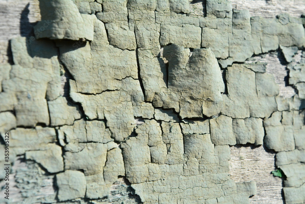 Fototapeta premium Old cracked paint on the fence. Background