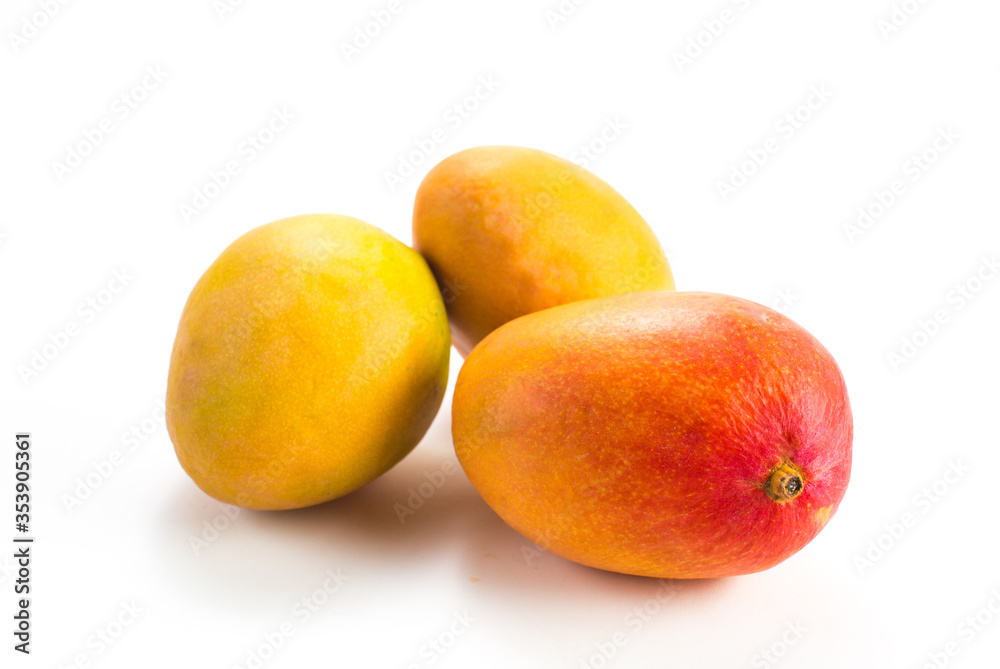 Three ripe tropical fruit mango isolated on white closeup Three ripe tropical fruit mango isolated on white closeup