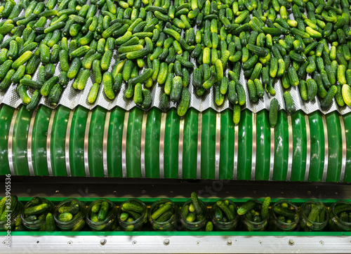 factory, food vegetable production factory photo