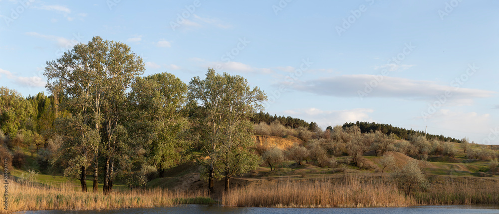 Fototapeta premium Forest edge. Poplars by the water. Spring pasture, artificial reservoir. Budzhak steppe.