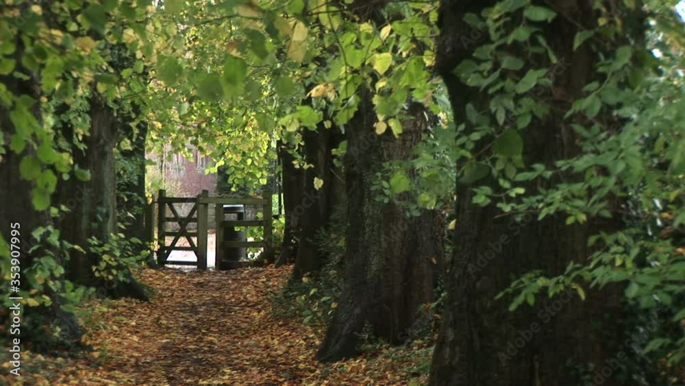 British country lane with gate and leaves of the floor England UK British country lane with gate and leaves of the floor England UK