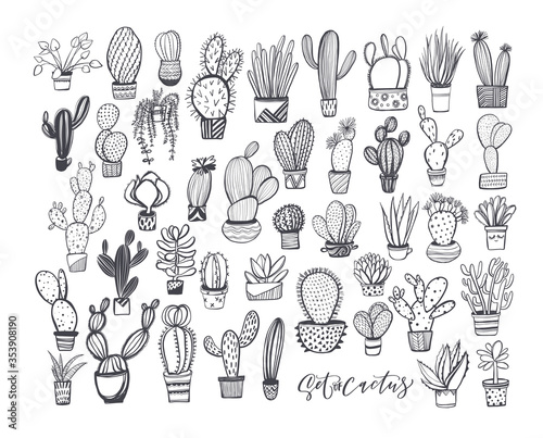 Seamless pattern with hand drawn cactus in a pots. Line drawing. Vector illustration of a cactus isolated on a white background. Ink illustration.