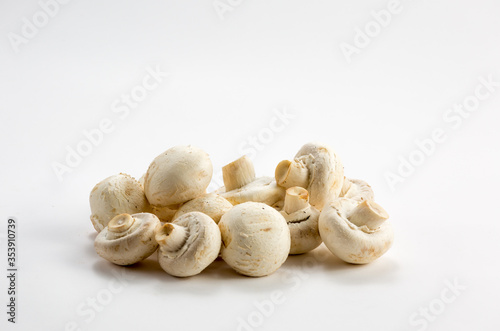 Champignon mushroom on a black background on the left and a place for text on the right