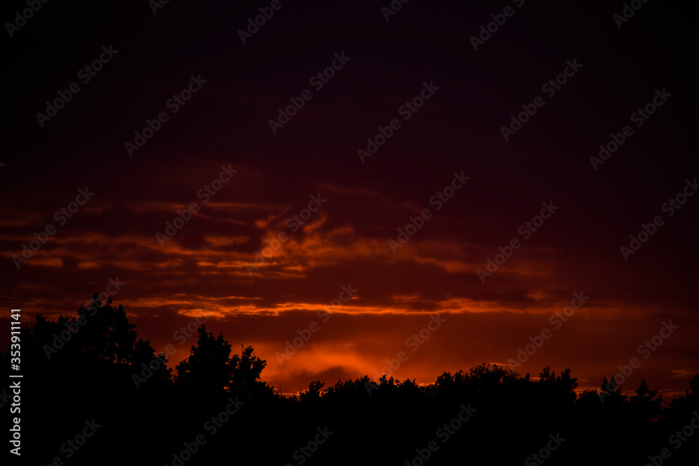  colorful sunset with red sky and trees and clouds