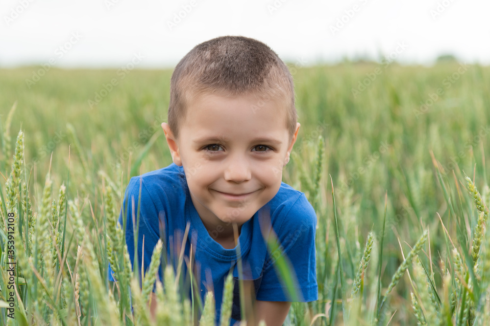Portrait of a little boy in a wheat field. Child in wheat field Portrait of a little boy in a wheat field. Child in wheat field