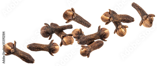 Falling dry cloves isolated on white background photo