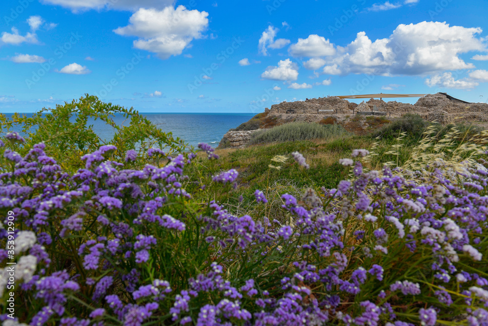 Obraz premium Archaeological park Apollonia in Israel