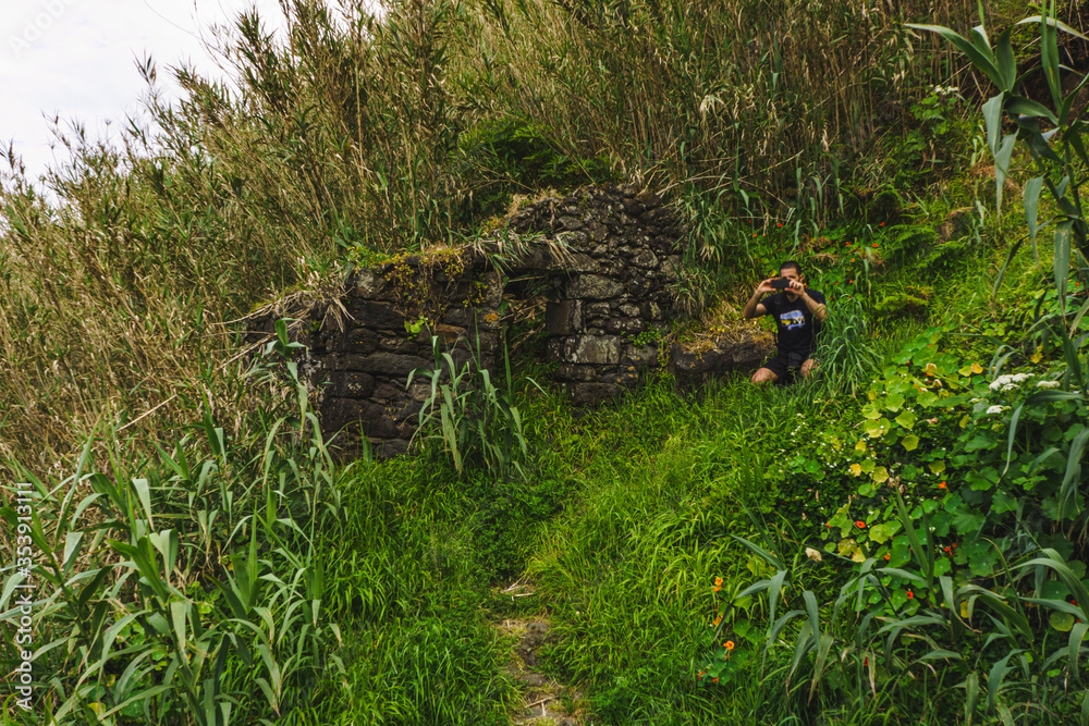 The green of the azores islands The green of the azores islands