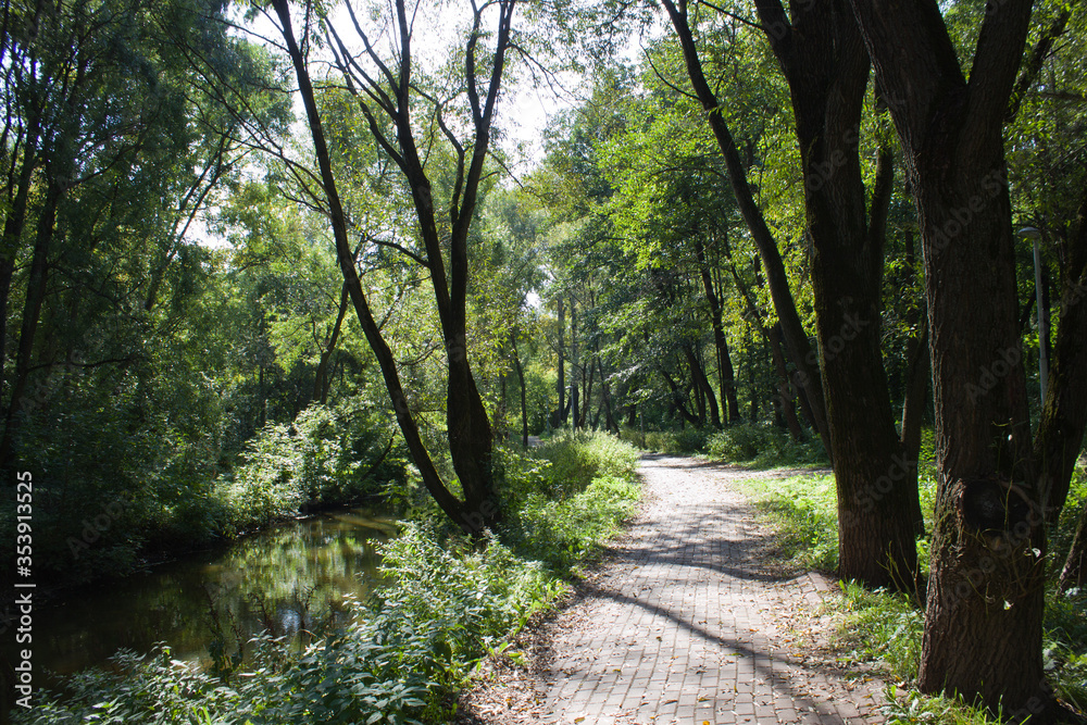 Fototapeta premium Paved path along the river bank in the park
