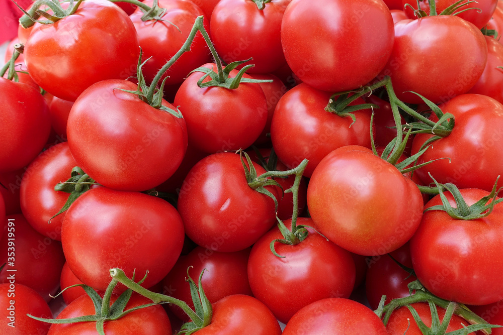 manojo de tomates rojos saludables