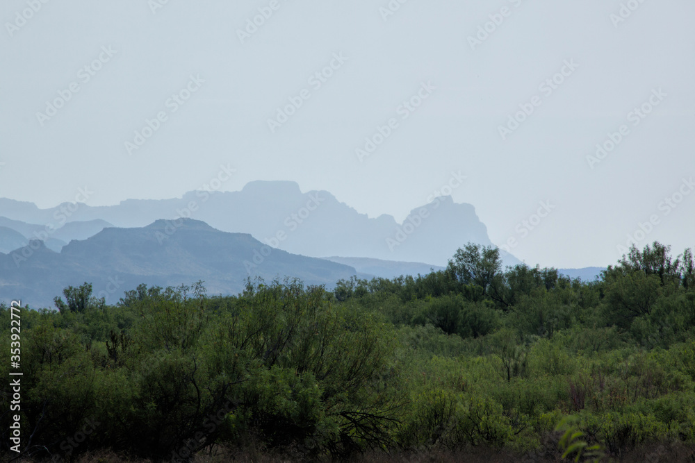 Desert landscape with distant mountains