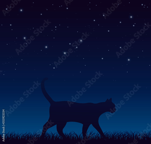 Cat Walks on the Grass Late at Night. Vector Illustration Cat Walking Peacefully During Starry Night