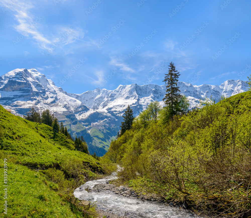 Swiss landscape with creek stream