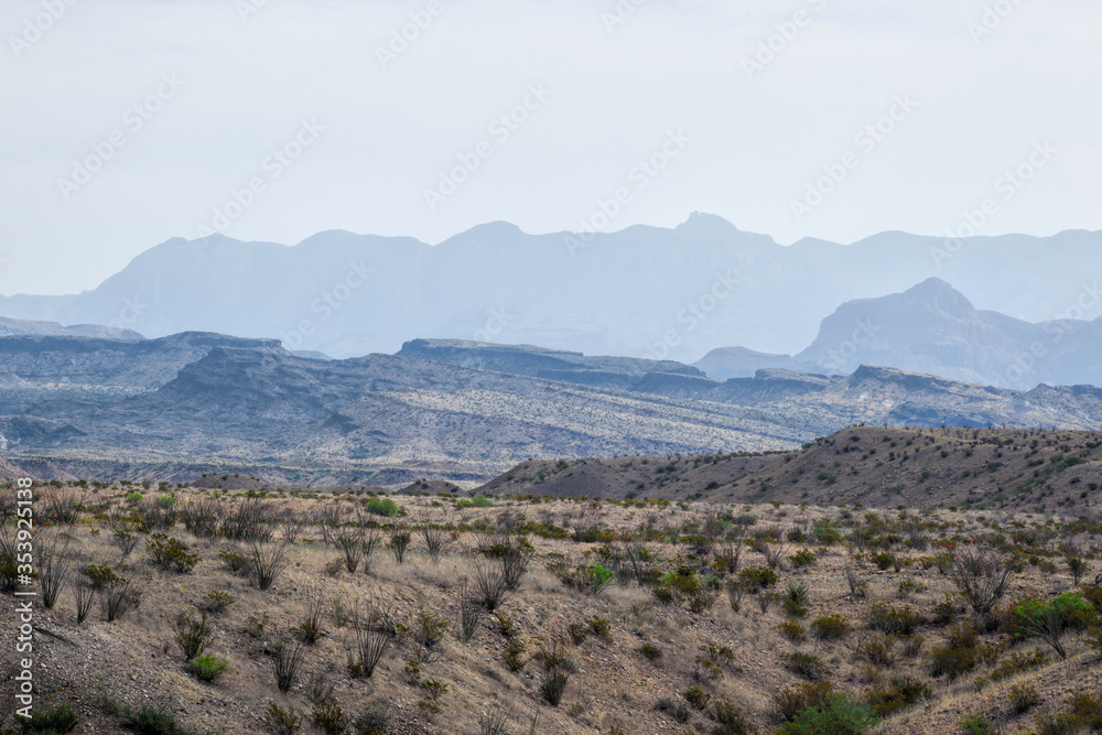 Desert landscape with distant mountains