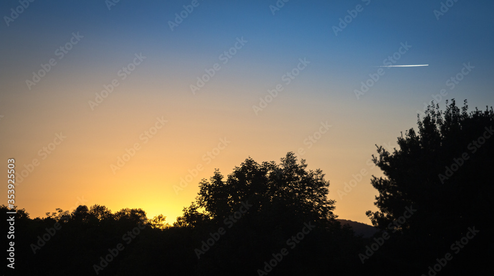 Sunset behind trees with a single plane in the sky, Maine, USA