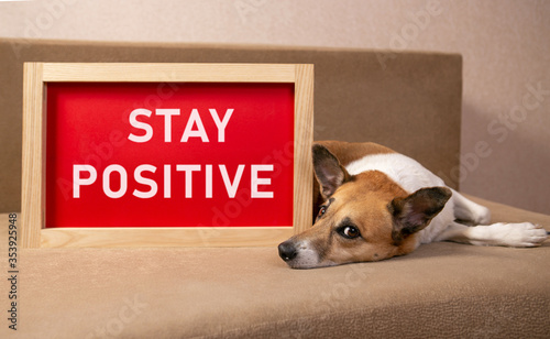 Stay Positive card with colorful background with defocused lights