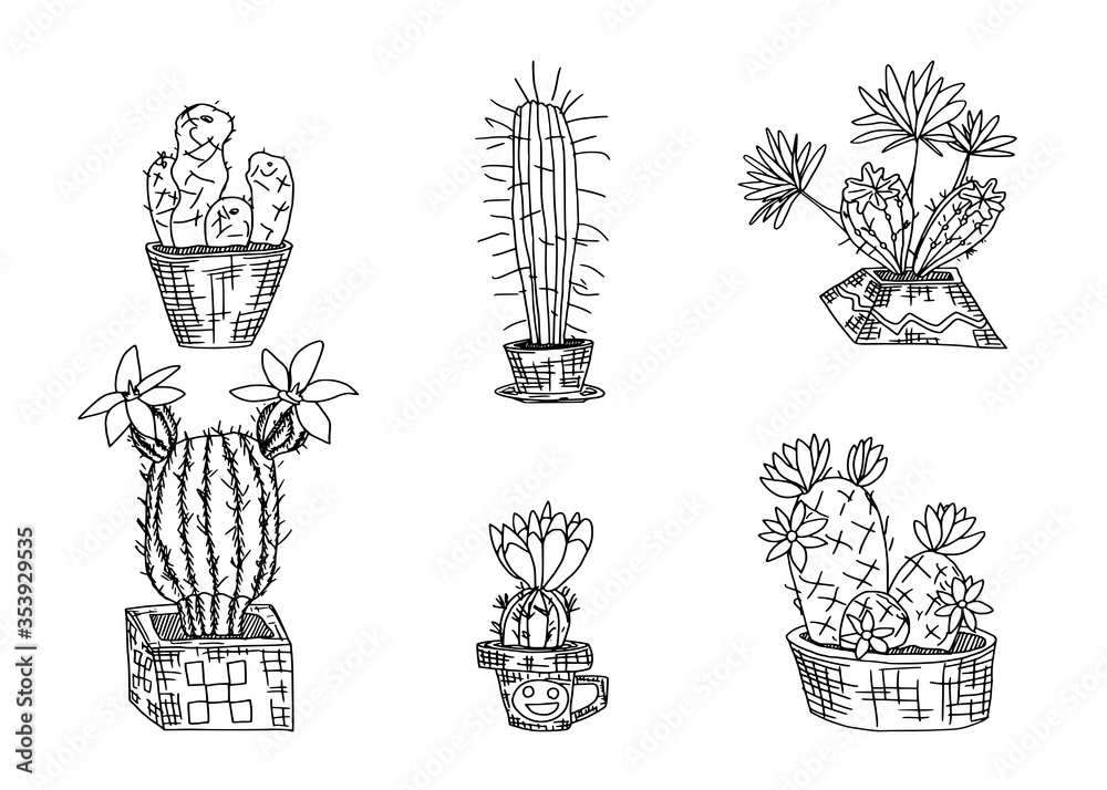 selection of cacti in pots sketch doodle drawings