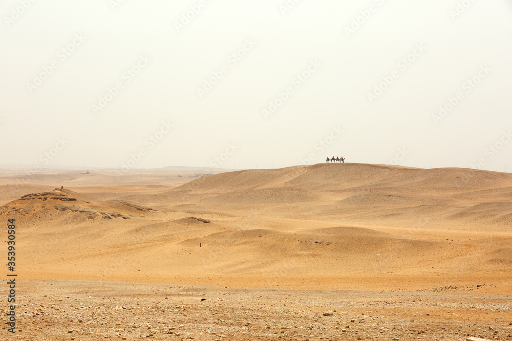 Tourist traveling on camel on the dunes and desert to see the Pyramids of Giza Tourist traveling on camel on the dunes and desert to see the Pyramids of Giza