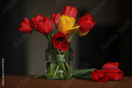 A bouquet of live tulip flowers of red and yellow in a glass jar