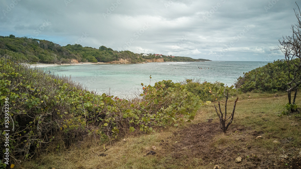 Spot de surf du Helleux en Guadeloupe une journée nuageuse, avec la végétation au premier plan, la baie avec de petites vagues et quelques surfeurs et la colline arborée à l'arrière plan Spot de surf du Helleux en Guadeloupe une journée nuageuse, avec la végétation au premier plan, la baie avec de petites vagues et quelques surfeurs et la colline arborée à l'arrière plan