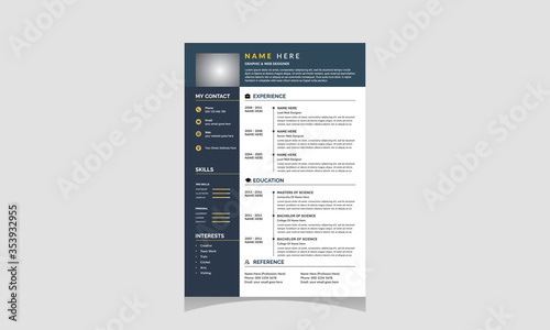Professional resume (CV) template 