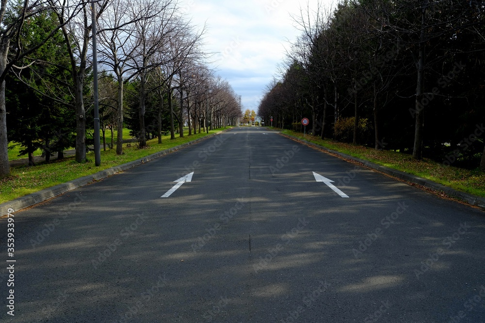 Asphalt Road in Moerenuma Park in Autumn Season.
