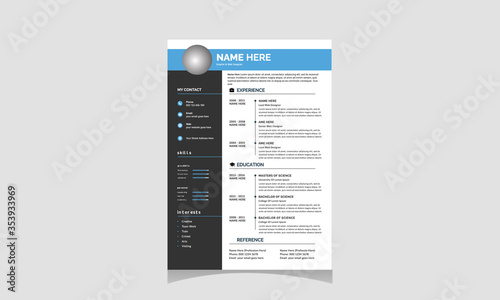 Professional resume (CV) template 