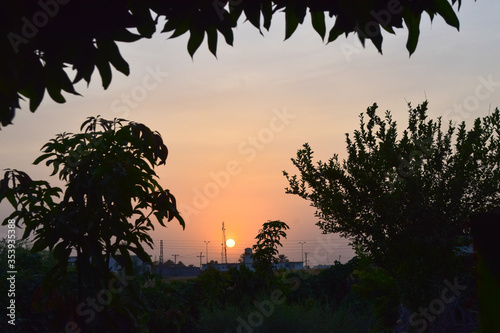 Beautiful Sunset View, Garden Tree Evening Landscape Colorful Sky downfall sunlight, scene Outside Outdoors Scenic Place