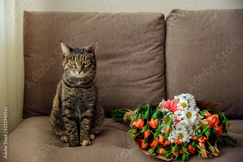 A disgruntled Tabby cat is sitting on the sofa next to flowers.A bouquet of flowers consists of roses, daisies. The bouquet is wrapped in craft paper. The cat looks at the viewer with displeasure photo
