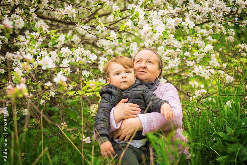 Fototapeta premium An elderly woman hugs her grandson. Portrait of a grandmother and child. Outdoors in the garden. Spring Park. Flowering tree. Emotions of a child and a woman.