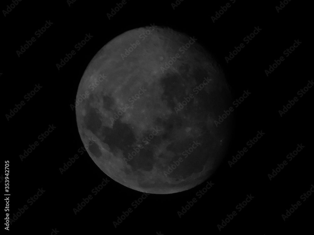 moon moon