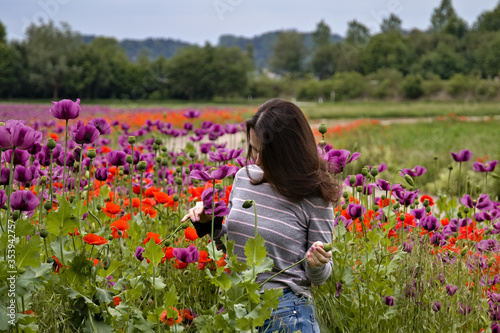 girl in a poppy field