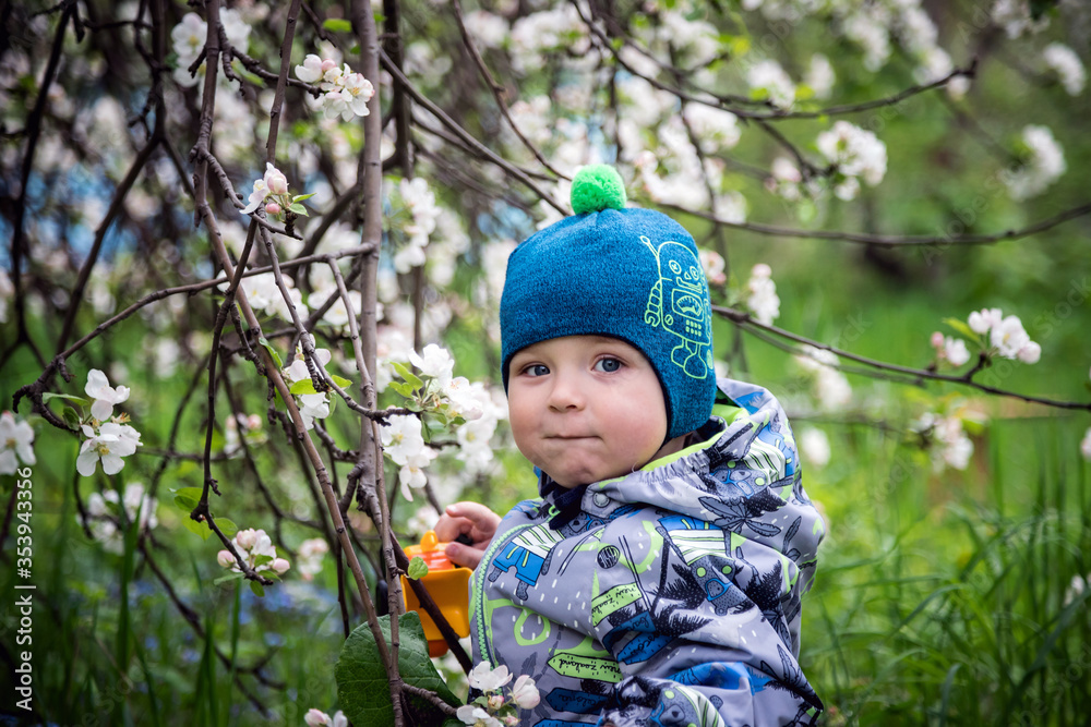 A little boy walks in an Apple orchard in spring. Trees in flowers. Park in the spring. Nature walk. Happy childhood.
